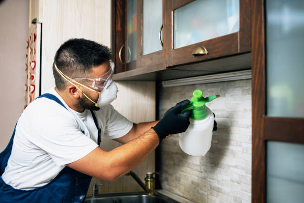 Flea Control Services in Ina, IL