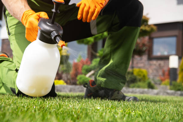 Best Bed Bug Extermination  in Ina, IL