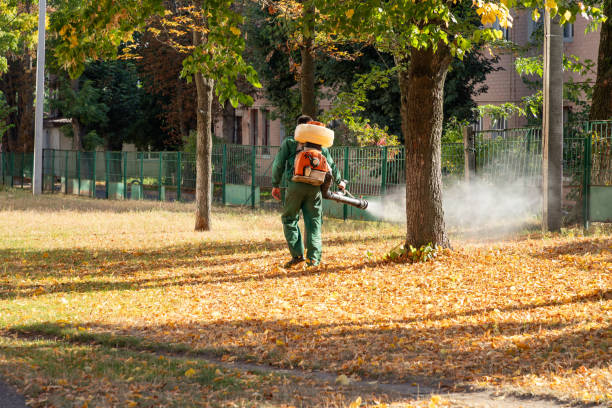 Wildlife Control Services in Ina, IL