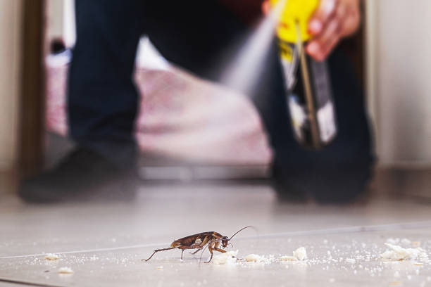 Best Pest Control for Homes  in Ina, IL